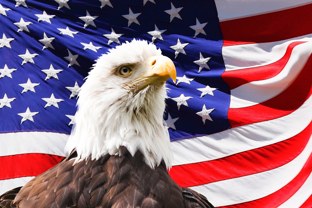10 Easy Crafts for Celebrating Independence Day